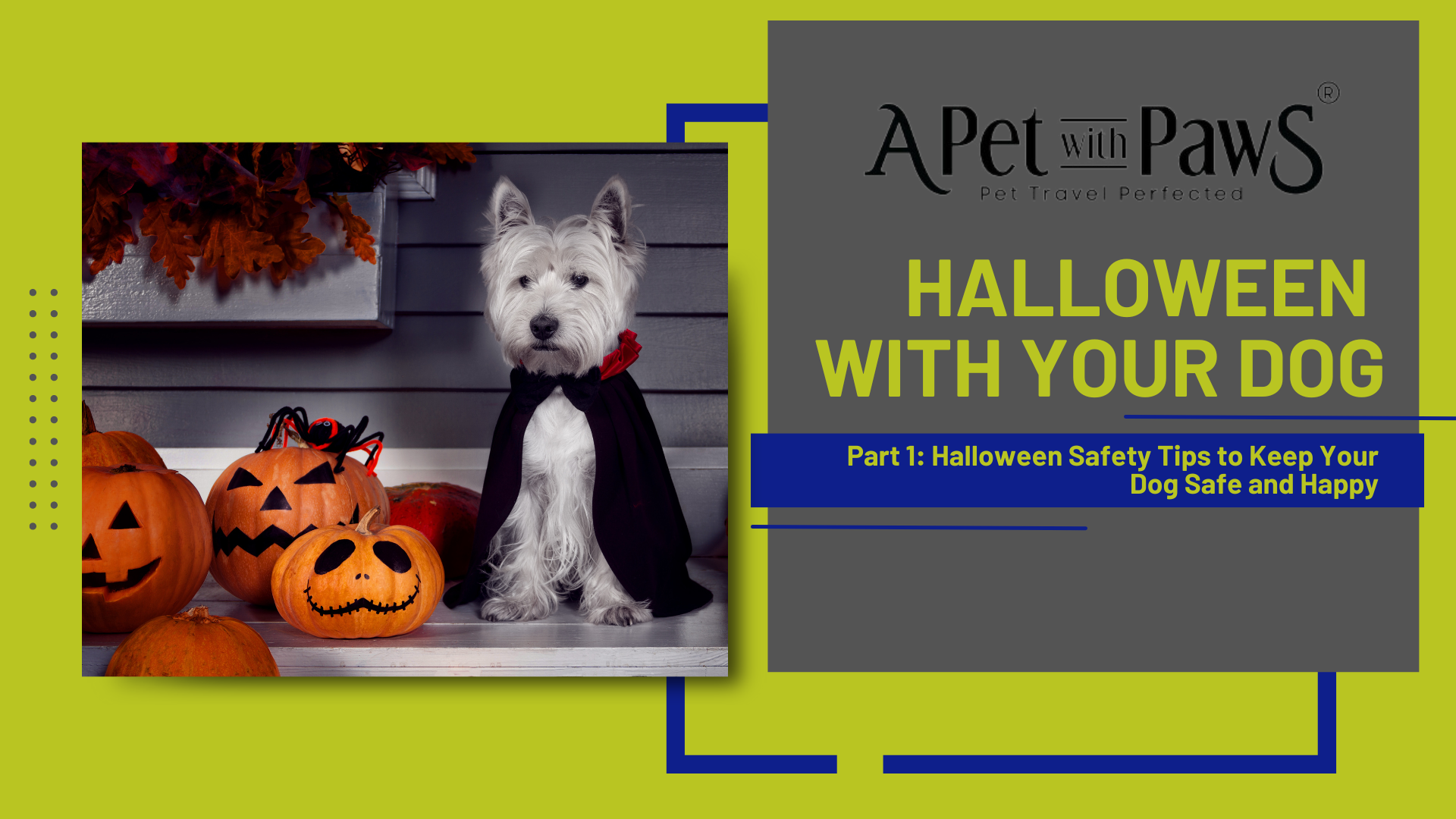 Halloween with Your Dog: Part One Safety Tips