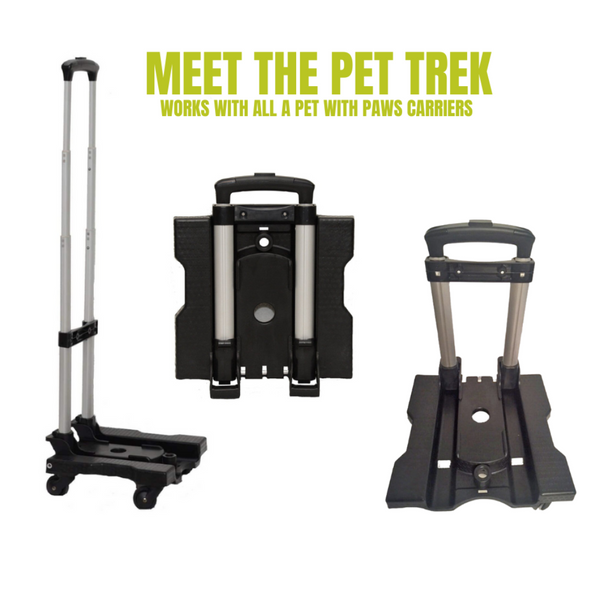 Amy Pet Carrier with Pet Trek ft. Rhinestone Buckles A Pet with Paws