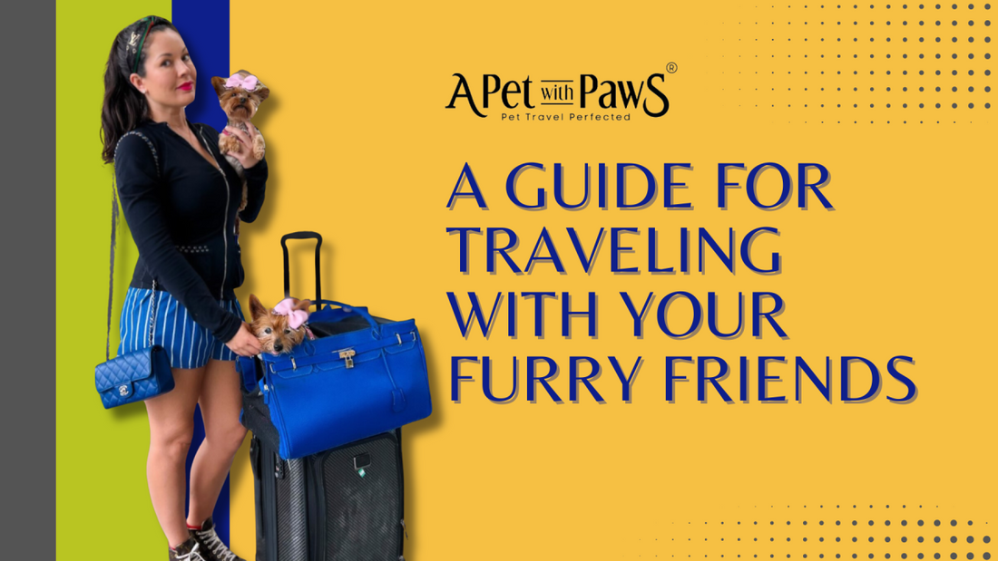A Guide for Traveling with Your Furry Friends