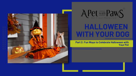 Fun Ways to Celebrate Halloween with Your Pet (Part 2)