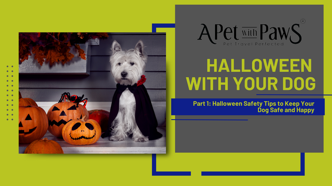 Halloween with Your Dog: Part One Safety Tips