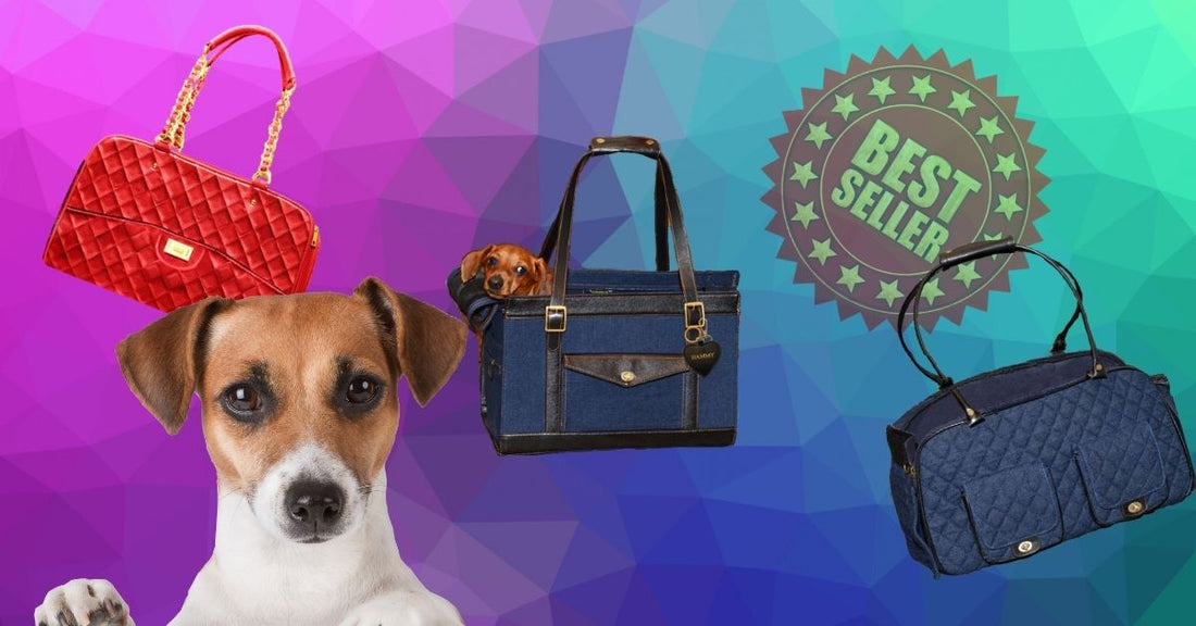 The Best Types of Small Dog Carriers for Fashionable Pet Parents