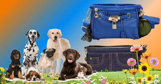 Dog Training Bags