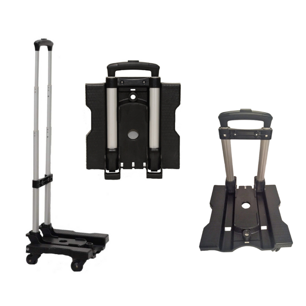 designer-pet-carrier-buy-pet-carriers-online-a-pet-with-paws