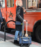Pet-Trek with Pippa pet carrier holding a dog