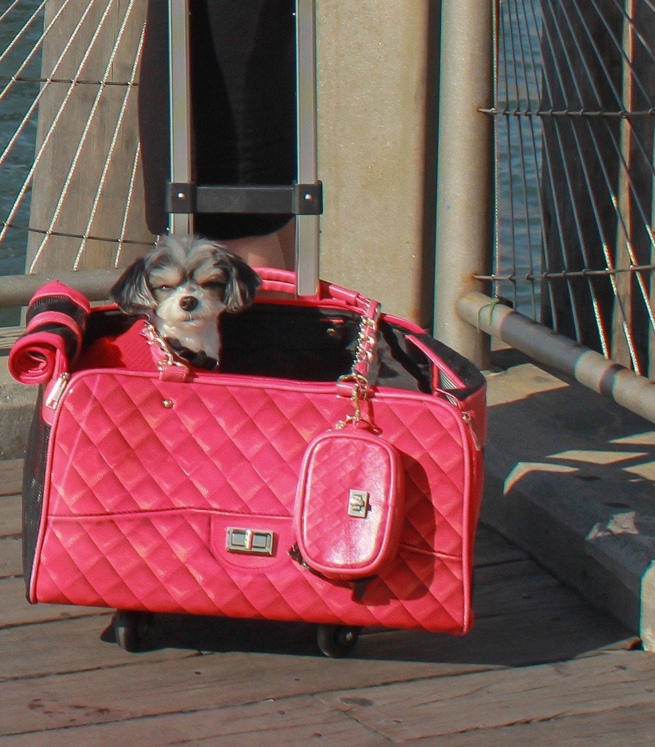 Jackson Poop Bag Pouch