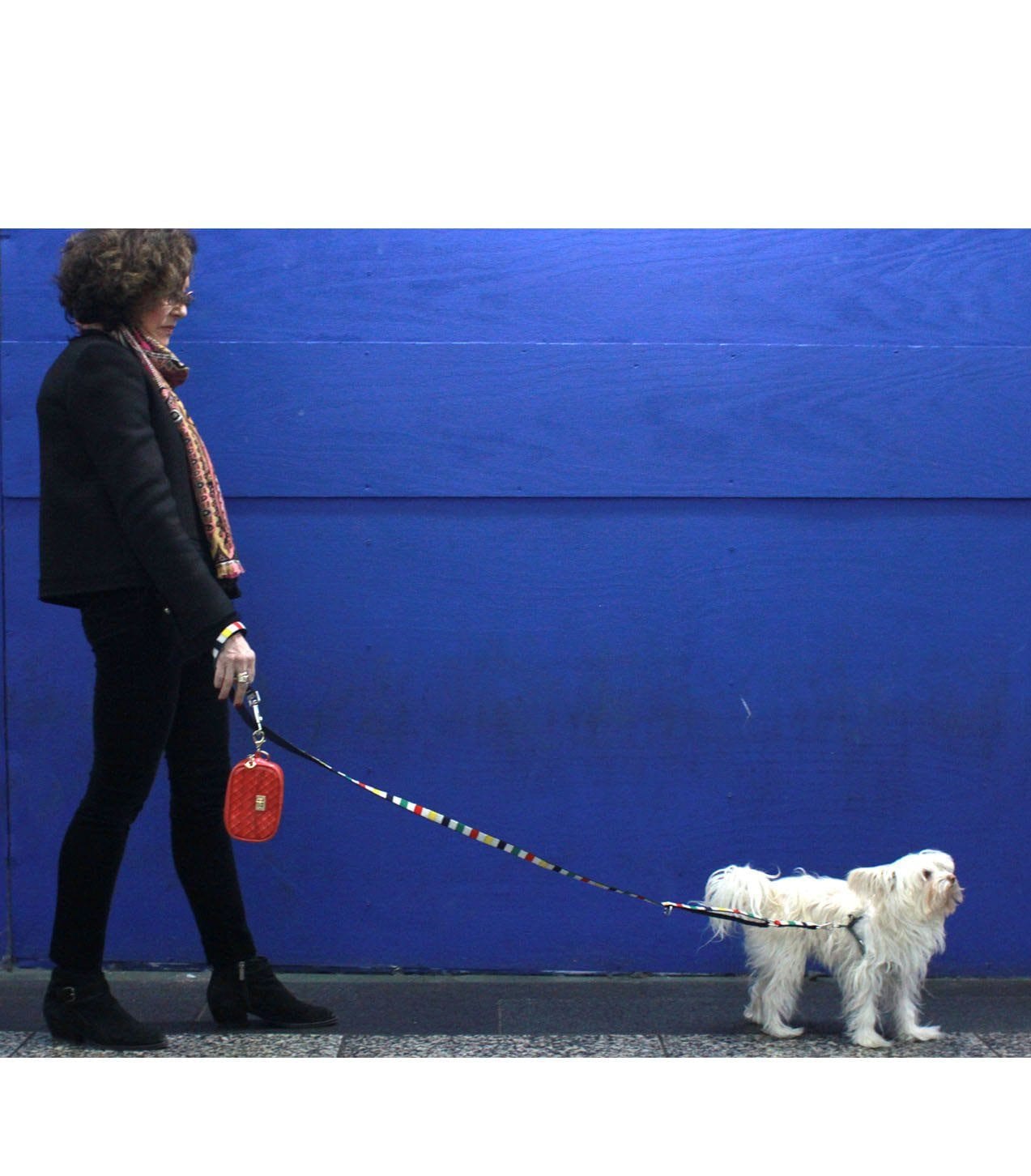 Jackson Poop Bag Pouch