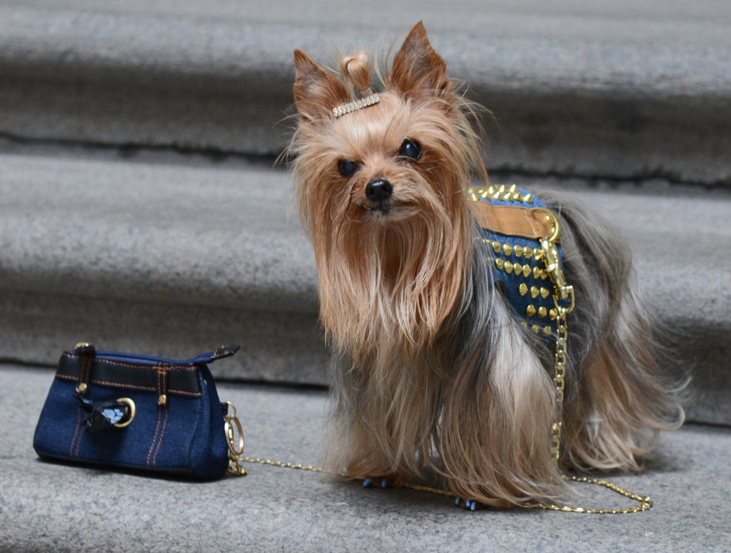 Best dog poop bag holder Lucas stylish poop bag holder in denim A