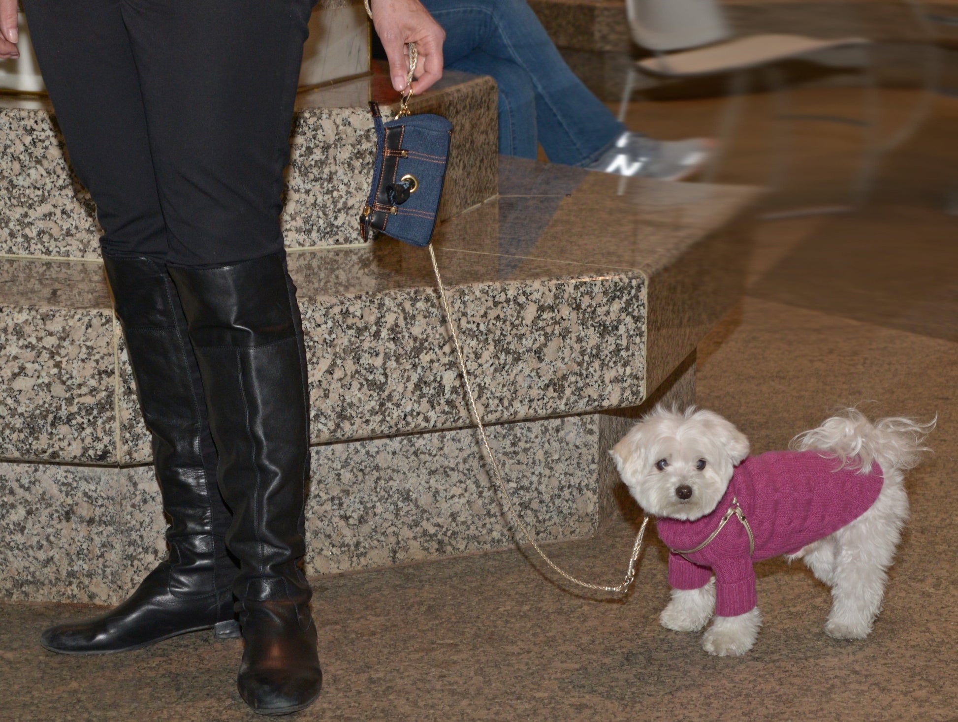 poop bag holder attached to dog on leash