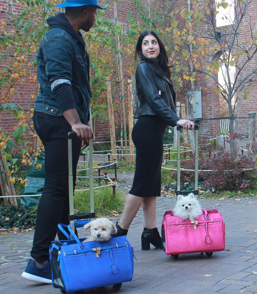 Madison Pet Carrier With PetTrek® Perfect for Dogs or Cats A Pet