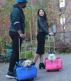 Madison Carrier With Pet-Trek®