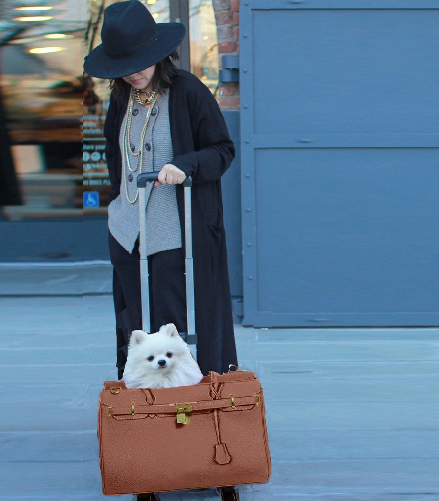 Madison Pet Carrier With PetTrek® Perfect for Dogs or Cats A Pet